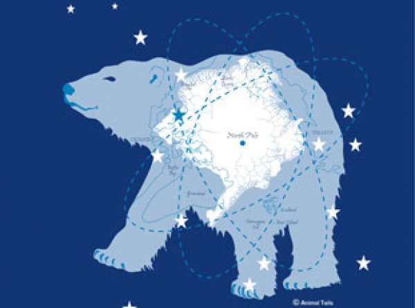 Baby Body Romper Animal Tails Polar Bear Arctic Blue